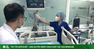 Noi dau sau tai nan